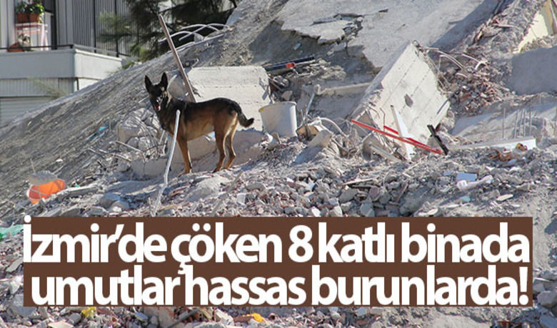 İzmir'de çöken 8 katlıbinada umutlar hassas burunlarda - İzmir’de dün meydana gelen 6.6’lık depremin ardından tamamen çöken 8 katlı Yağcıoğlu Apartmanında arama kurtarma çalışmaları aralıksız sürerken, hassas burunlu köpekler de enkaz altında kalanları bulabilmek için çaba gösterdi.	Hasarlı binaların tespiti yapılıyorBUGÜN NELER OLDU?
