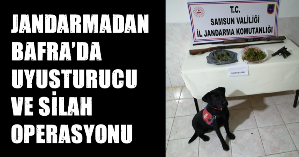 Jandarmadan Bafra'da uyuşturucu ve silah operasyonu