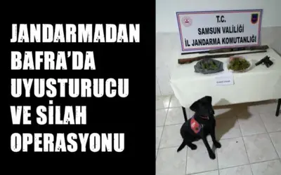 Jandarmadan Bafra'da uyuşturucu ve silah operasyonu