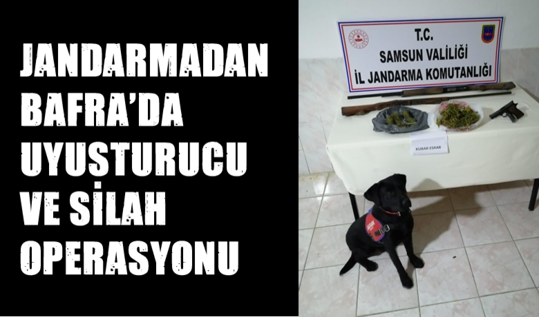 Jandarmadan uyuşturucu ve silah operasyonu