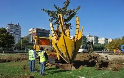 Büyükşehir’den ağaç hassasiyeti
