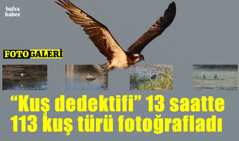 "Kuş dedektifi" 13 saatte 113kuş türü fotoğrafladı, iddiaları çürüttü