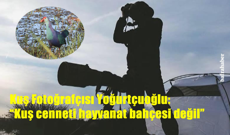 "Kuş dedektifi" 13 saatte 113kuş türü fotoğrafladı, iddiaları çürüttü - "Kuş dedektifi" olarak bilinen ünlü fotoğrafçı Emin Yoğurtçuoğlu, UNESCO Dünya Geçici Miras Listesi’nde yer alan Kızılırmak Deltası’nın ’yangınla yok olduğu’ iddialarını 13 saatte 113 kuş türü fotoğraflayarak çürüttü.