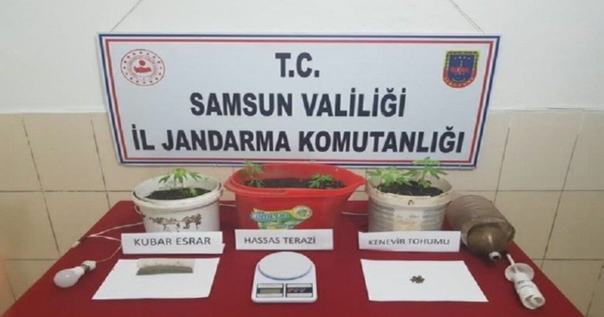 Uyuşturucu madde ve ateşli silahtan 13 şüpheliye gözaltı
