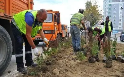 Samsun kış peyzajıyla rengarenk olacak

