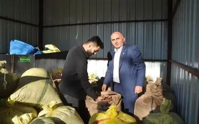 Fındıkta Avrupa ve 4 dolar beklentisi
