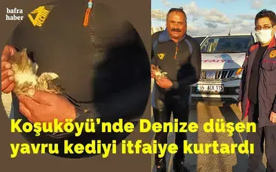 Denize düşen yavru kediyi itfaiye kurtardı