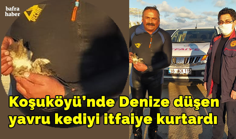 Denize düşen yavru kediyi itfaiye kurtardı
