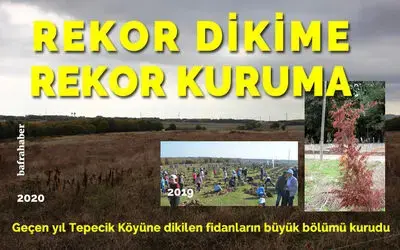 Rekor Kırmak İçin Kış Başı Dikilen Fidanlar Rekor Kurudu