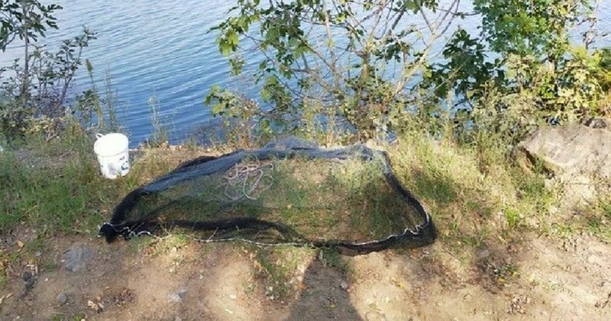 Kaçak balık avcıları cezadan kurtulamadı
