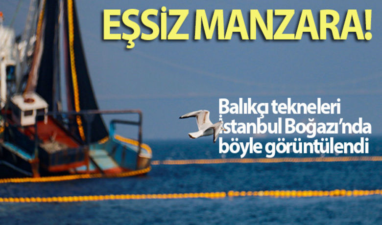 Balıkçı tekneleri, İstanbulBoğazı'nın eşsiz manzarasıyla birleşti - Ağlarını denize bırakan balıkçılar İstanbul Boğazı'nda eşsiz bir manzara oluşturdu. Balıkçı teknelerinin Boğazda balık avladığı anlar drone ile havadan görüntülendi.	HABERİN VİDEOSU İÇİN TIKLAYINIZSümeyye İnal - Ahmet Faruk Sarıkoç - Ömer Faruk Yıldız