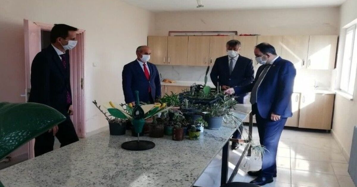 Bafra’nın ’Yeşil Elmas’ını üretiyor