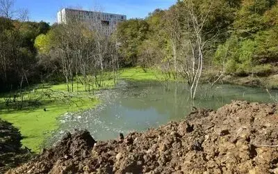 OMÜ’de bataklığa dönüşen alan piknik yeri yapılıyor

