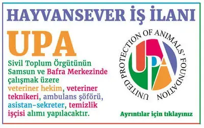 Upa’dan Hayvansever İş İlanı 