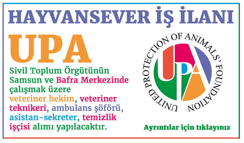 Upa’dan Hayvansever İş İlanı 