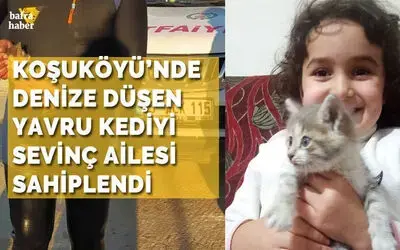 Denize Düşen Yavru Kediyi Sevinç Ailesi Sahiplendi
