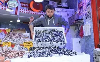 Samsun’da hamsi 10 TL’ye düştü, tezgahlar şenlendi
