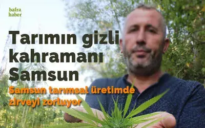 Tarımın gizli kahramanı Samsun