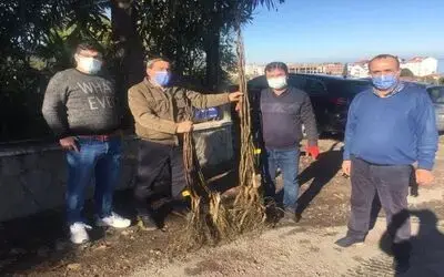 Büyükşehirden Yakaket’te bin 500 adet ceviz fidesi
