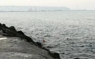 Aralık ayında Karadeniz’e girdiler
