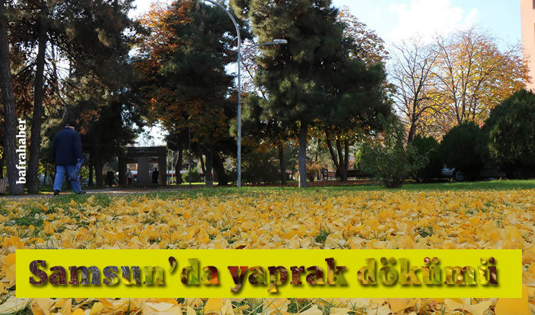 Samsun’da yaprak dökümü