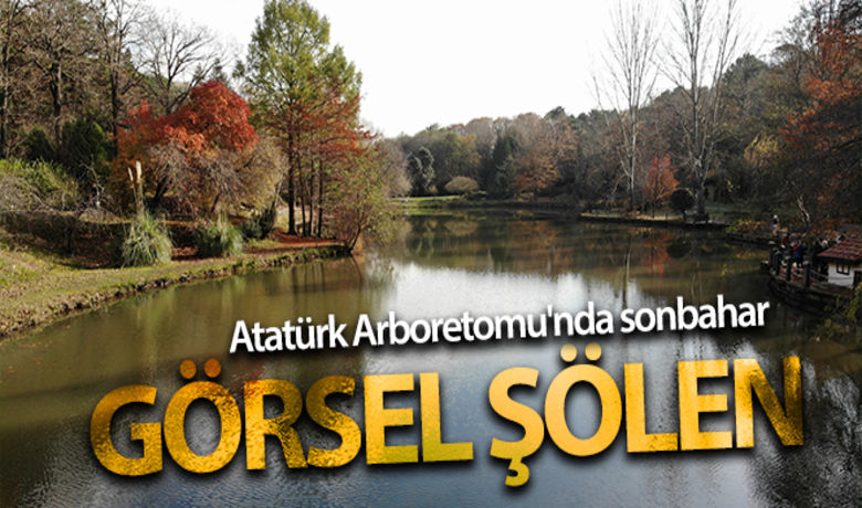 Atatürk Arboretumu'nda sonbahar manzarası - Sarıyer`de bulunan Atatürk Arboretomu'nda sonbaharın etkisini göstermesiyle görsel bir şölen oluştu.