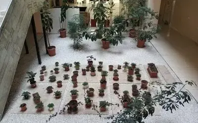 Çiçek bahçesi gibi adliye koridoru
