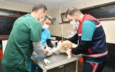 Can dostlarına 11 ayda 132 ton mama
