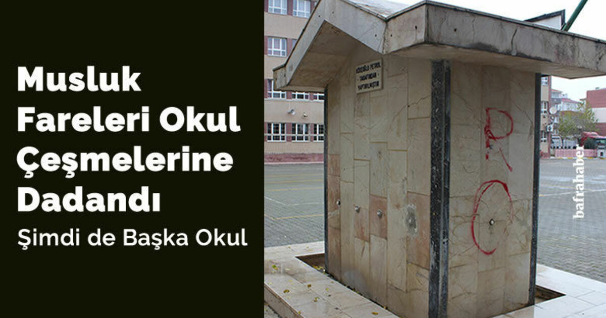 Musluk Fareleri Okul Çeşmelerine Dadandı