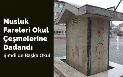 Musluk Fareleri Okul Çeşmelerine Dadandı