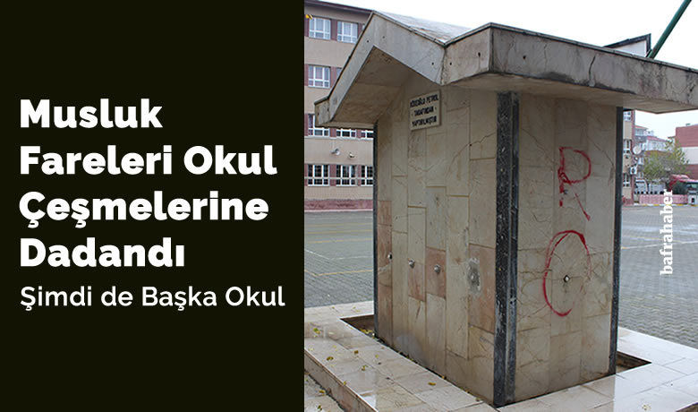 Musluk Fareleri Okul Çeşmelerine Dadandı - Samsun’un Bafra İlçesinde Ticaret Sanayi Odası Ortaokulu bahçesinde bulunan çeşmenin musluklarını çaldılar.