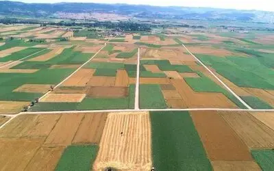 DSİ’den Orta Karadeniz’de toplulaştırma çalışması
