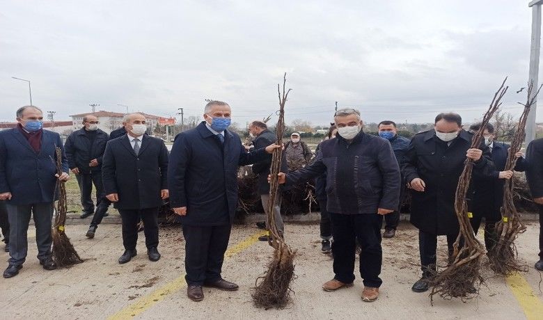 Bafra’da üreticilere 2 bin500 ceviz fidanı dağıtıldı - Samsun’un Bafra ilçesinde “Sürdürülebilir Tarım Faaliyetlerinin Yaygınlaştırılması Projesi” kapsamında 45 çiftçiye 2 bin 500 ceviz fidanı dağıtıldı.