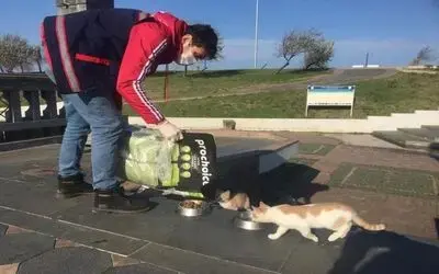 Samsun’da sokak hayvanları unutulmadı
