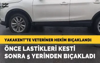 Yakakent'te veteriner hekim bıçakla ağır yaralandı