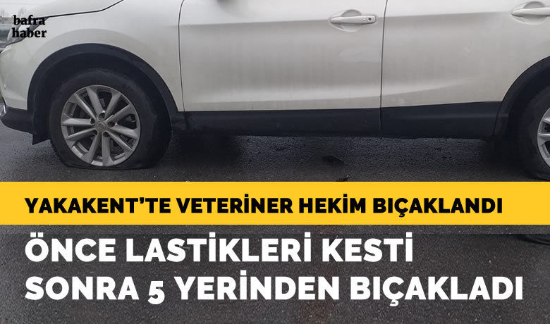 Yakakent'te veteriner hekim bıçakla ağır yaralandı