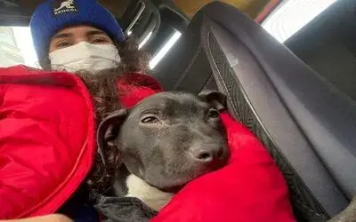Sokakta bulduğu hasta köpeği ölümden kurtardı
