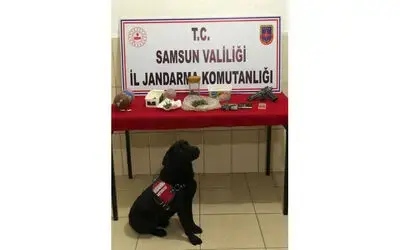 Jandarmadan ‘kubar esrar’ operasyonu
