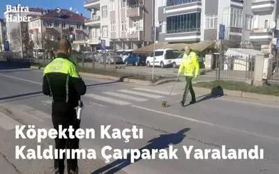 Köpekten Kaçtı Kaldırıma Çarparak Yaralandı