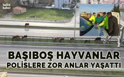 Başıboş Hayvanlar Polislere Zor Anlar Yaşattı