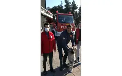 İtfaiye yeni yılın ilk canlısını kurtardı
