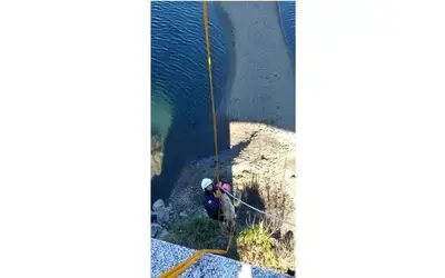 Bitkin haldeki kuğu ve ırmağa düşen köpek kurtarıldı
