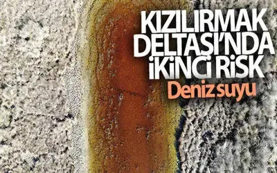 Kızılırmak Deltası’nda ikinci risk: Deniz suyu