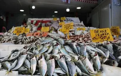 Hamsinin fiyatı 25 TL’den 15 TL’ye düştü
