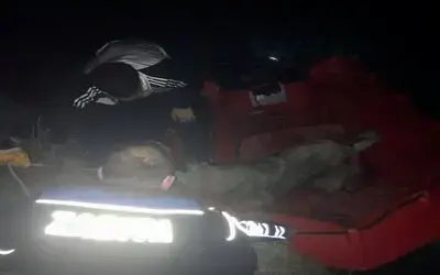 Yeşilırmak’ta mahsur kalan köpeği zabıta kurtardı
