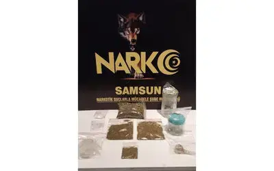 Samsun’da bonzai ile yakalanan 2 kişi gözaltına alındı
