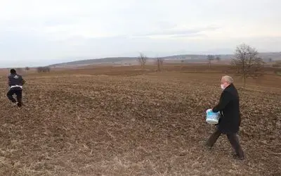 Havza Belediyesi’nden ata tohum ekimi
