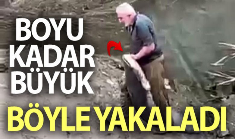 Yeşilırmak'ta boyu kadar balığı böyle yakaladı - Amasya’da yaşlı bir adam Yeşilırmak’ta boyu kadar büyüklükte balık yakaladı. Adamın dev yayın balığını yakalamak için sırılsıklam olduğu o anlar çevredeki vatandaşlar tarafından cep telefonuyla görüntülendi.BUGÜN NELER OLDU?