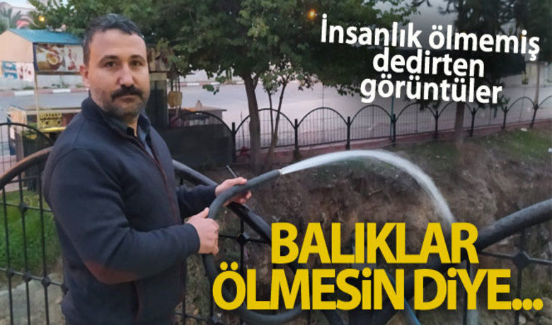 İnsanlık ölmemiş dedirtti, balıklarölmesin diye hortumla su veriyor - Mersin'in Tarsus ilçesinde bir esnaf kuruyan şelaledeki balıklar ölmesin diye hortumla su veriyor.BUGÜN NELER OLDU?