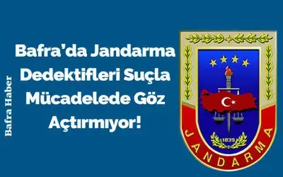 Bafra’da Jandarma Dedektifleri Suçla Mücadelede Göz Açtırmıyor!